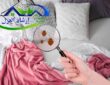 Bed bug control