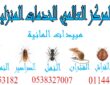 طرق التخلص من الحشرات بطرق بسيطة وسريعة