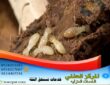 شركة رش دفان بالرياض
