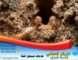 pesticide spraying company