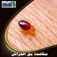 شركة مكافحة بق الفراش 0507242848 بالرياض اتصل نصلك اليوم