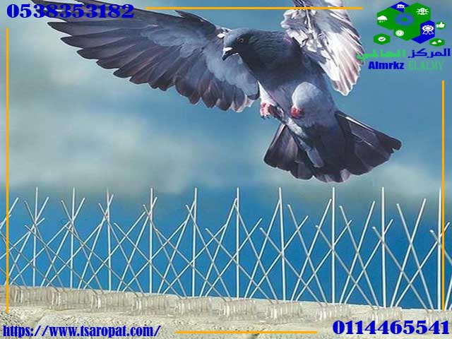 اشواك طارد الحمام من شركة طارد الحمام السحرى بالرياض - طارد الحمام من الشبابيك
