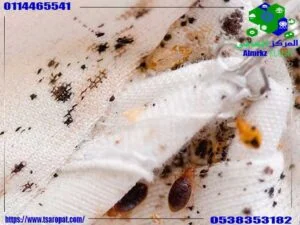 ما شكل براز البق واماكن توجده بالفراش