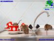 دعاء و آيات لطرد الفئران من المنزل