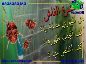 علاج الفاش بالحلبة ومعرفة اصابه الطائر بالفاش