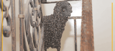 Getting rid of bees