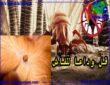 علاج الفاش بالأعشاب وكيف تتأكد من إصابة طيورك بالفاش