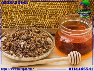 العكبر وفوائدة