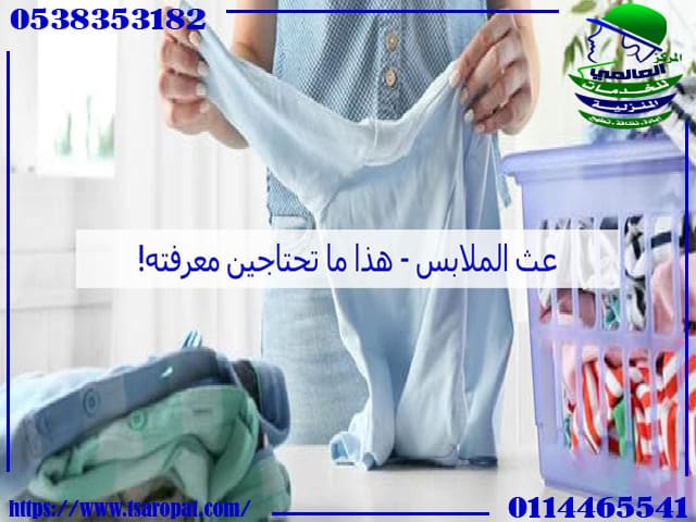 عثة السجاد حشرة العث الملابس
