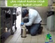 شركات مكافحة الحشرات في الدمام والآفات الضارة