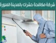 أفضل شركات مكافحة الحشرات في المدينة المنورة للتخلص من الآفات الضارة