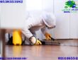 شركة مكافحة حشرات بالرياض أقوى أنواع المبيدات