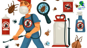 طرق مكافحة الحشرات المنزلية طرق مكافحة الحشرات المنزلية