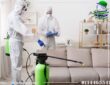 افضل شركة مكافحة حشرات بالجبيل – اباده فوريه لأصعب الحشرات