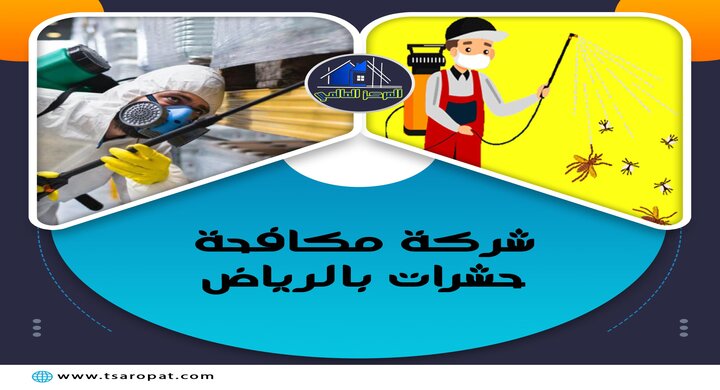 شركة مكافحة حشرات بالرياض