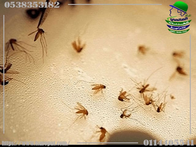 خدمة مكافحة الفاش
