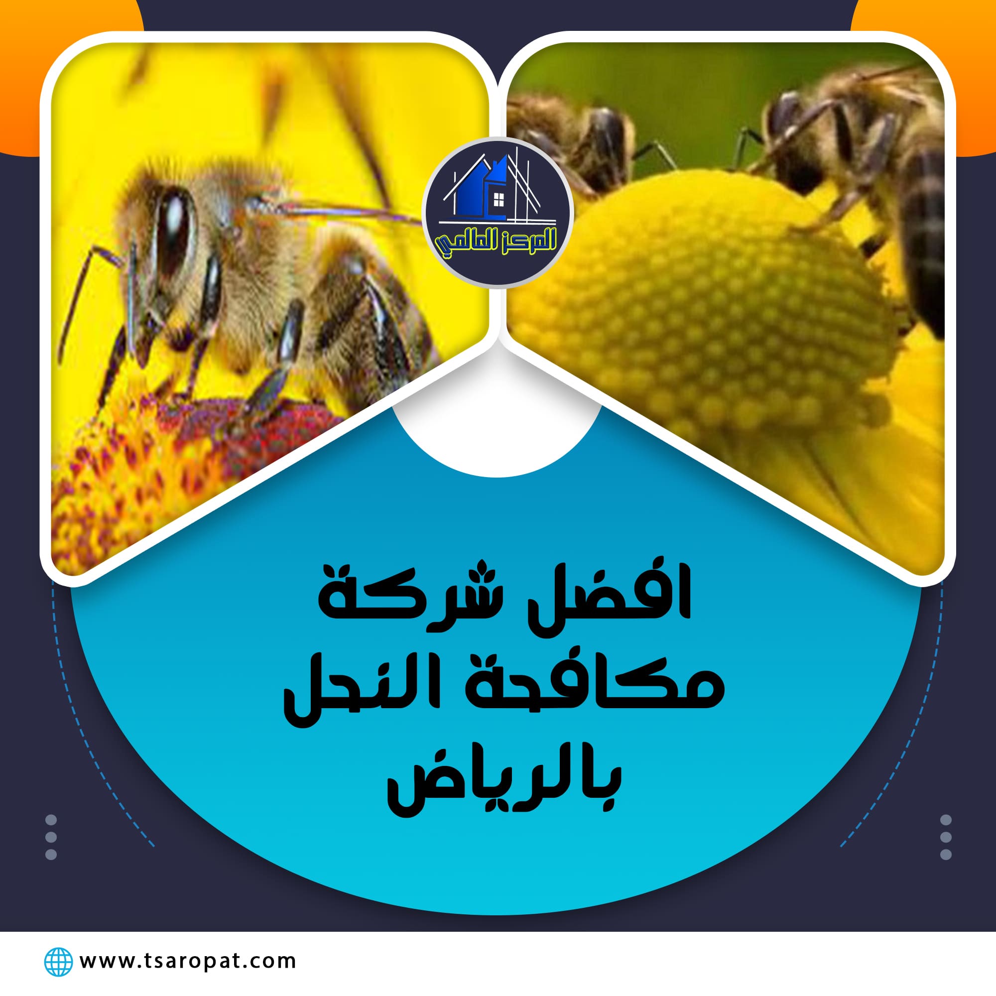 افضل شركة مكافحة النحل بالرياض 0507242848 بالرياض